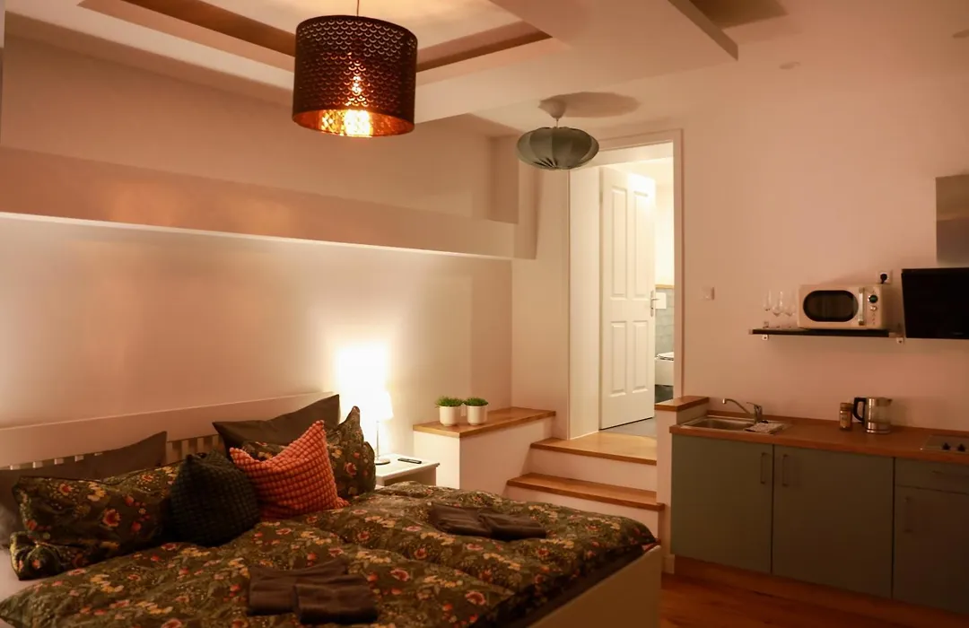 Boutique Hotel Pension Luisengrün Küche 1Gbs WLAN Netflix Disney MagentaTV-1