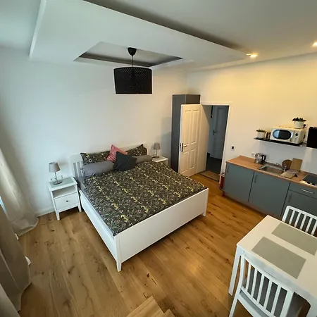 Boutique Hotel Pension Luisengrün Küche 1Gbs WLAN Netflix Disney MagentaTV-2